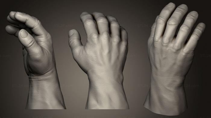 Anatomy of skeletons and skulls (Humanoid Hand 4, ANTM_0145) 3D models for cnc